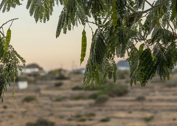 Lejlighed Milos Sunset Delux